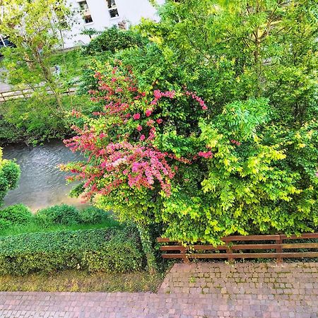 Alte Stadtmauer - Apartment Σίνσχαϊμ Εξωτερικό φωτογραφία