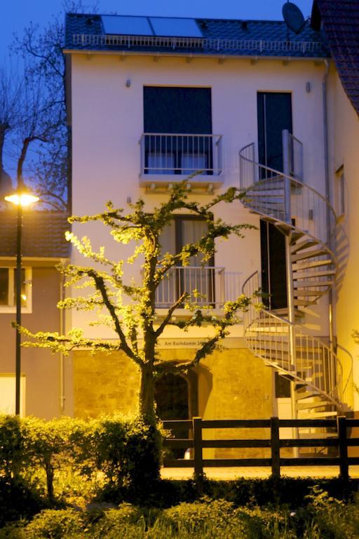 Alte Stadtmauer - Apartment Σίνσχαϊμ Εξωτερικό φωτογραφία