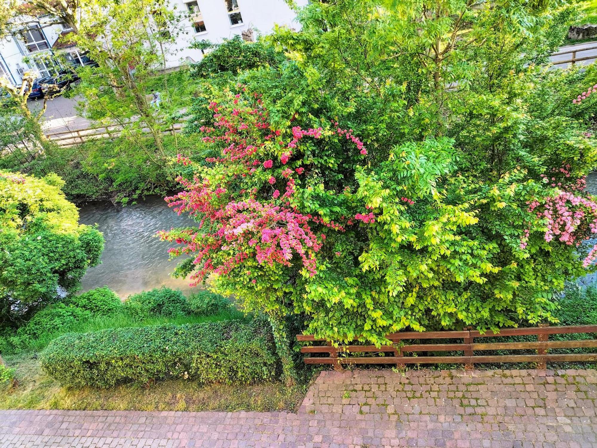 Alte Stadtmauer - Apartment Σίνσχαϊμ Εξωτερικό φωτογραφία